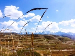 紧抓落实接地气，做好贫困群众贴心人——记湟中县土门关乡上山村第一书记种延宁 - 青海热线