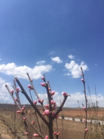 紧抓落实接地气，做好贫困群众贴心人——记湟中县土门关乡上山村第一书记种延宁 - 青海热线