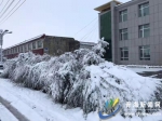 青海：国庆节首日降水不断天峻出现暴雪 - Qhnews.Com