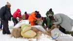 【新春走基层】雪灾无情人有情 眼中含泪是希望 - Qhnews.Com