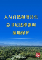 第一观察丨人与自然和谐共生，总书记这样强调湿地保护 - Qhnews.Com